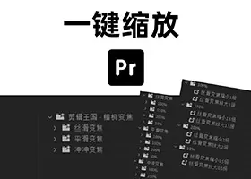 Pr关键帧缩放预设  Camera Zoom Presets 下载