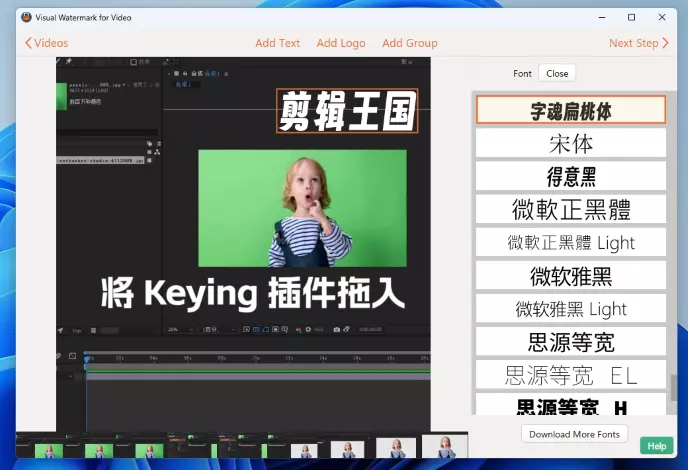 视频批量加水印软件 Visual Watermark For Video v1.83 WIN/macOS 免费下载插图1 视频批量加水印软件 Visual Watermark For Video v1.83 WIN/macOS 免费下载插图1