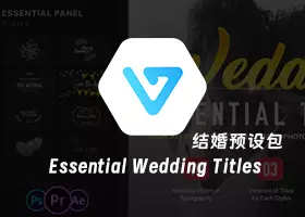 Ae/Pr/达芬奇插件 EasyEdit Titles Pro v3 标题文字动画预设包 专业版下载插图15